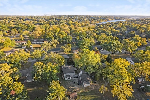 aerial view with a water view and a view of trees