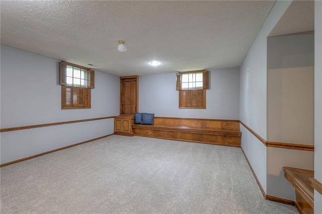 12016 Ballentine St, Overland Park, KS 66213 - basement with light carpet, a textured ceiling, and baseboards