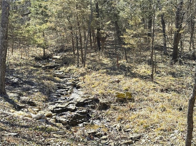 view of nature featuring a forest view