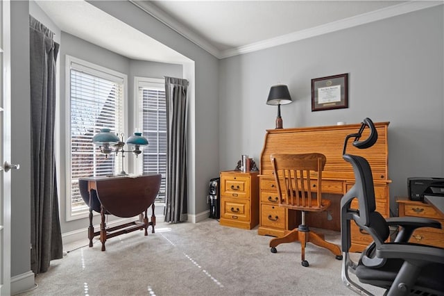 office space with carpet, baseboards, and ornamental molding