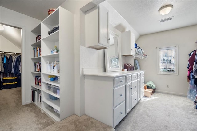 spacious closet with light colored carpet and visible vents