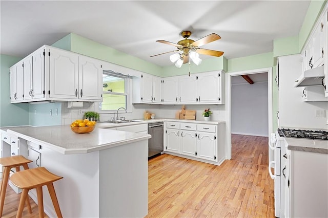 kitchen with under cabinet range hood, a sink, gas range gas stove, a peninsula, and dishwasher