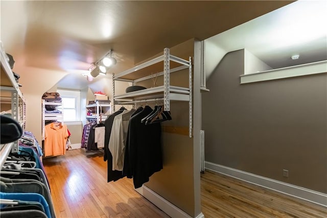 walk in closet featuring wood finished floors