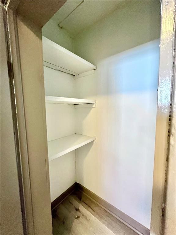 walk in closet featuring wood finished floors