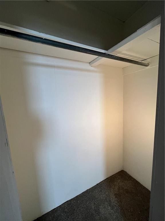 walk in closet with carpet flooring