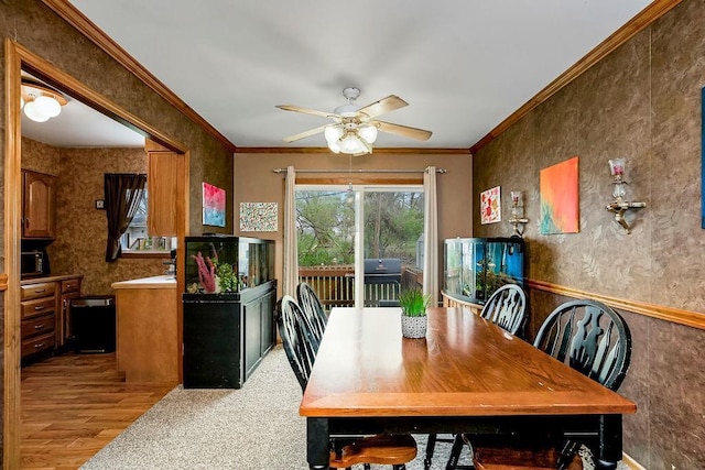 dining room featuring ornamental molding, ceiling fan, and wood finished floors
