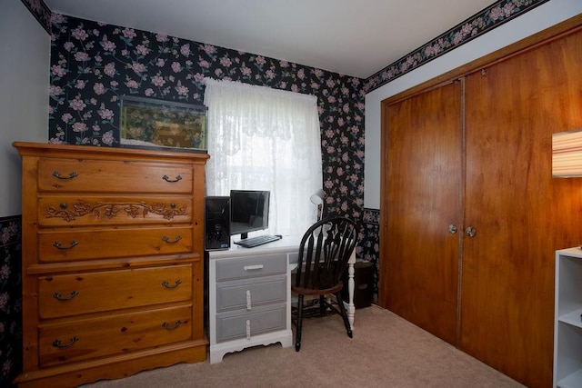 carpeted office with wallpapered walls