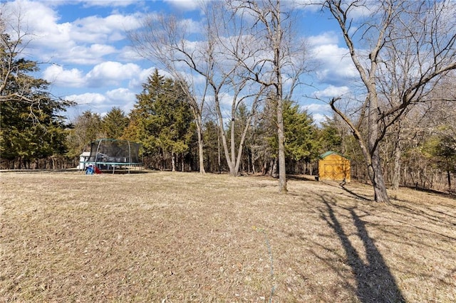 view of yard with a trampoline and a storage unit