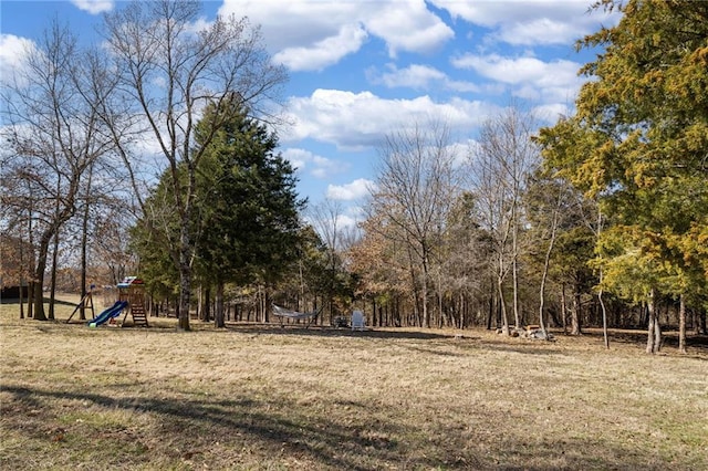 view of yard featuring playground community