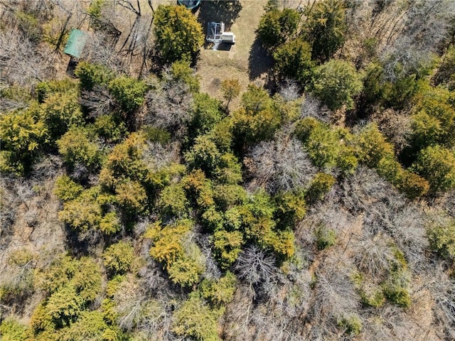 aerial view with a wooded view