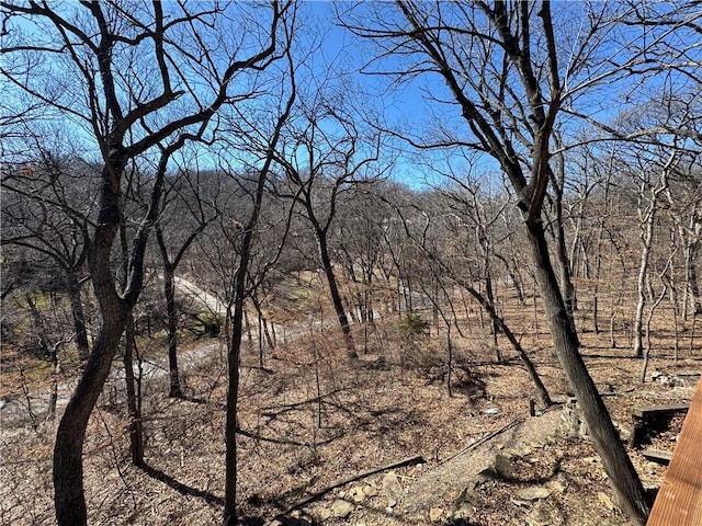 view of local wilderness