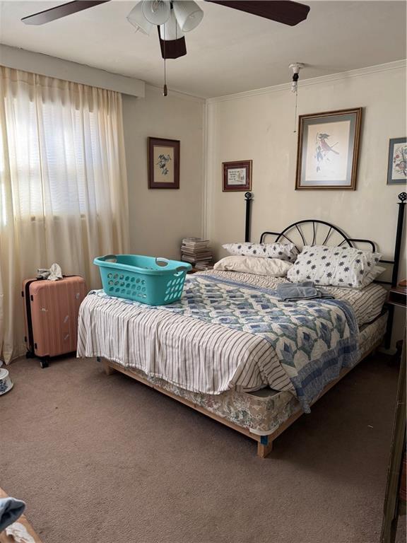 carpeted bedroom featuring ornamental molding and a ceiling fan