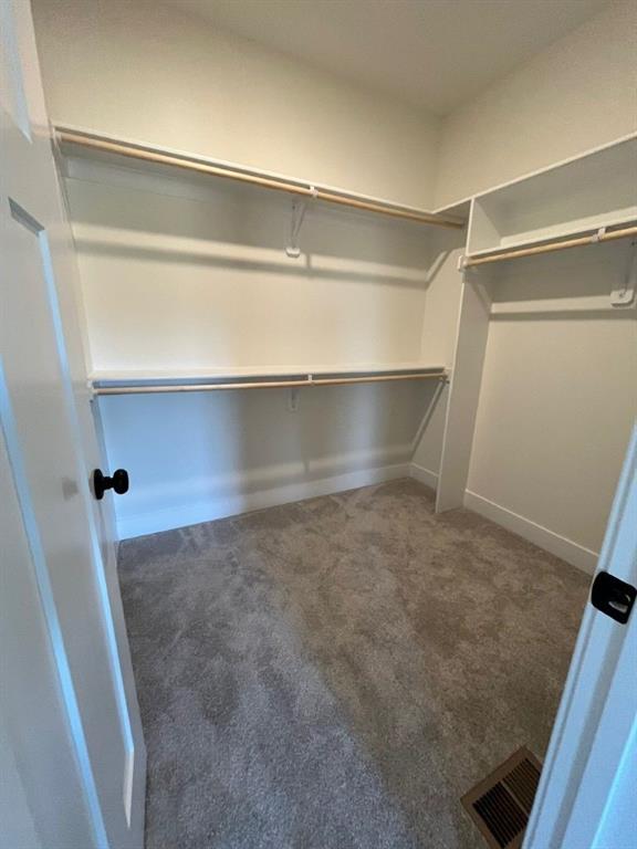 spacious closet with carpet flooring and visible vents