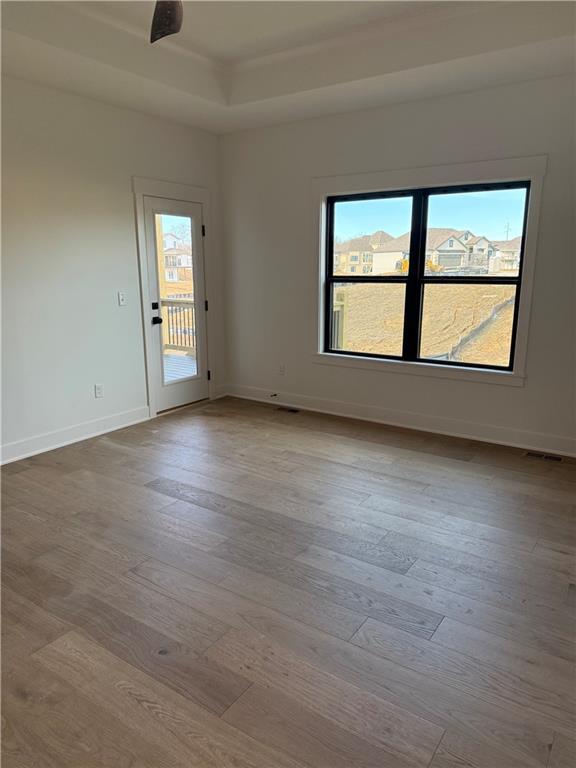 spare room featuring a tray ceiling, plenty of natural light, and wood finished floors