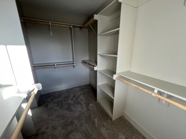 spacious closet with carpet flooring