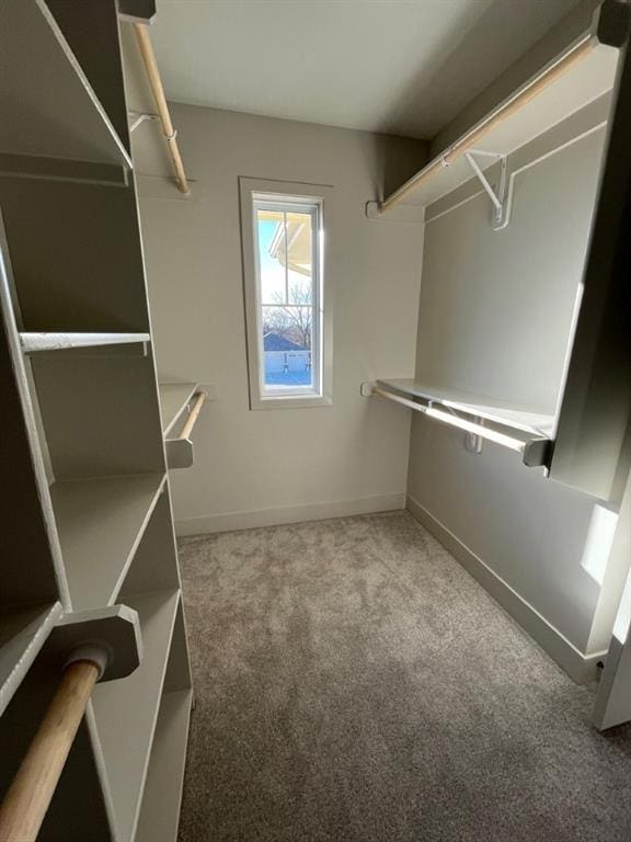 spacious closet with carpet flooring