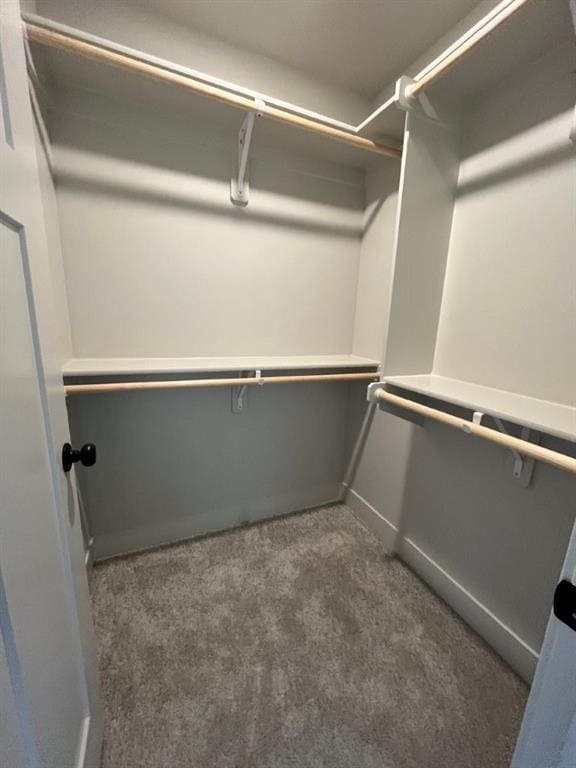 walk in closet with carpet floors