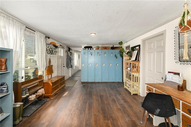 miscellaneous room with a textured ceiling and dark wood-type flooring