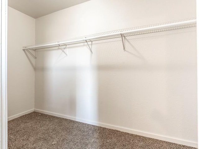 spacious closet with carpet floors