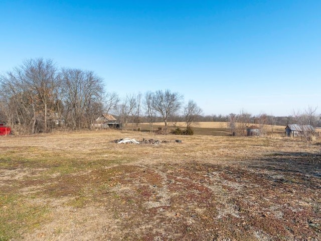 view of yard with a rural view