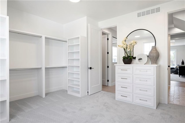 spacious closet with light colored carpet