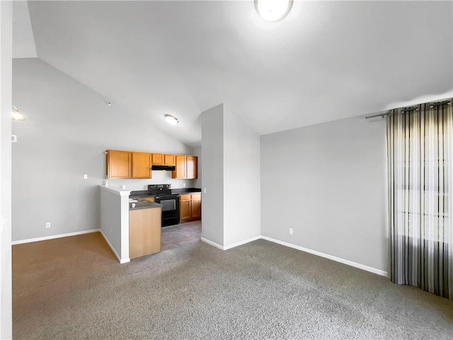 kitchen featuring black electric range, under cabinet range hood, carpet floors, and vaulted ceiling