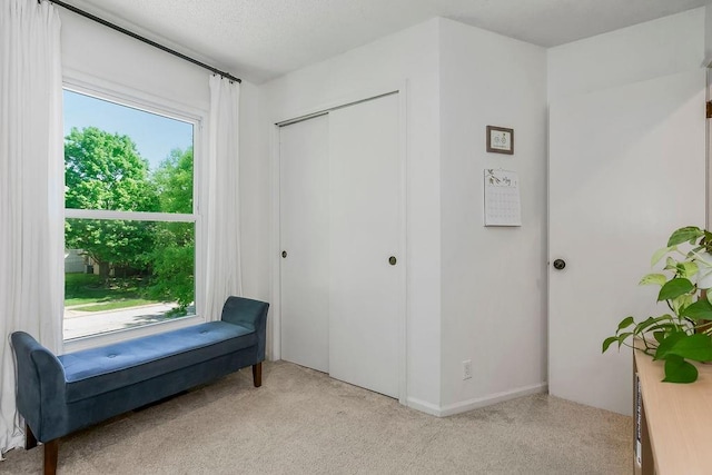 15905 W 152nd Ter, Olathe, KS 66062 - sitting room with light carpet