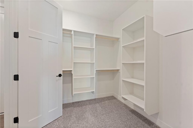 spacious closet with carpet