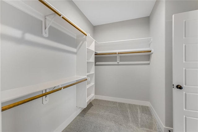 walk in closet featuring light colored carpet