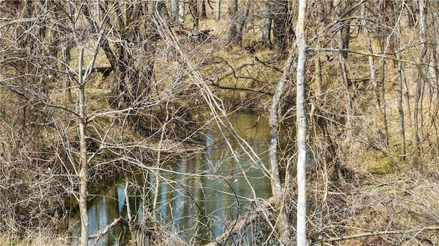 view of local wilderness with a water view