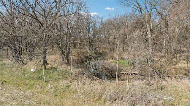 view of landscape