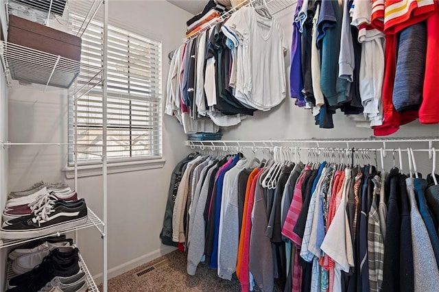 walk in closet featuring carpet and visible vents