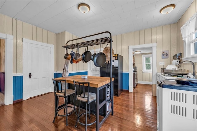 kitchen with dark wood-type flooring, freestanding refrigerator, and wood counters