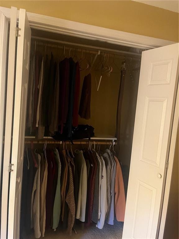 view of closet