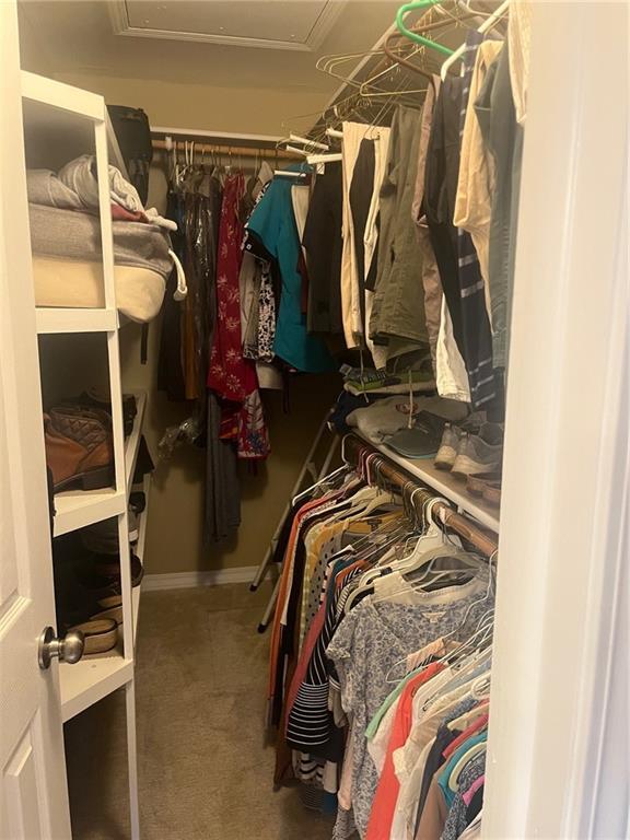 walk in closet featuring carpet