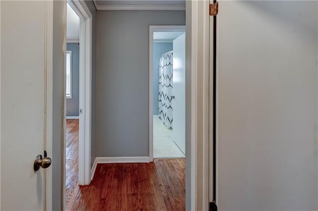 hall featuring crown molding, baseboards, and wood finished floors