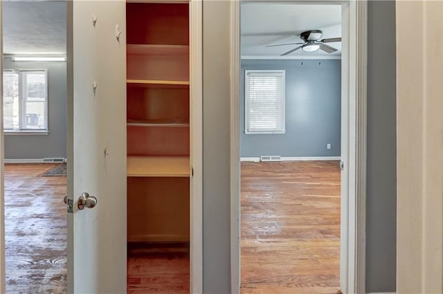 closet featuring visible vents