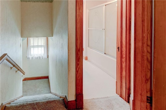 staircase with carpet floors