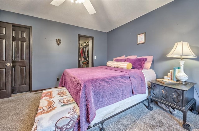 bedroom featuring a walk in closet, carpet flooring, a ceiling fan, and a closet