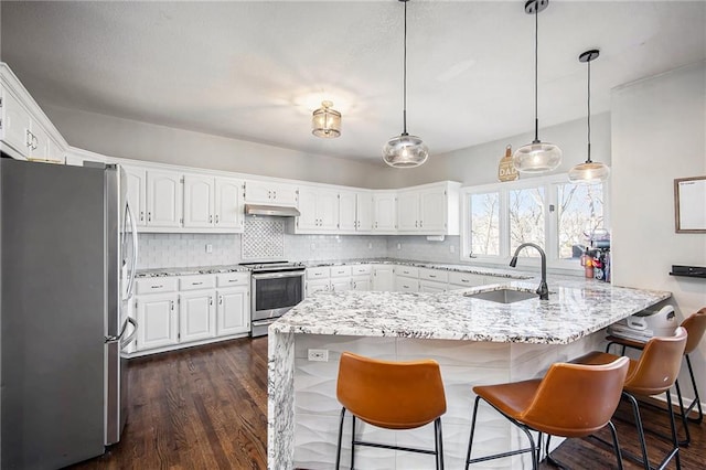 kitchen with backsplash, under cabinet range hood, light stone counters, stainless steel appliances, and a sink