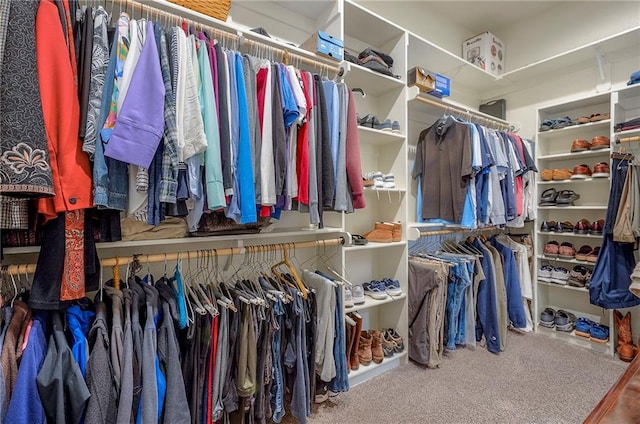 spacious closet featuring carpet