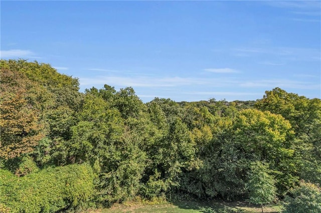 view of local wilderness featuring a view of trees