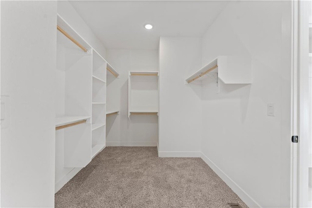 spacious closet with carpet