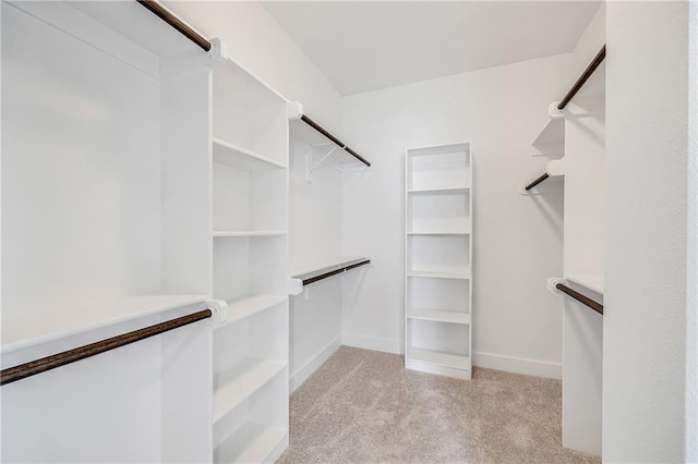 7001 NE 103rd St, Kansas City, MO 64156 - photo 21