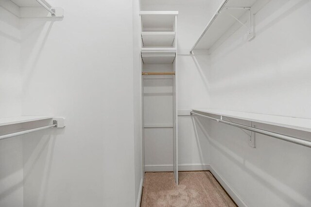 walk in closet with light colored carpet