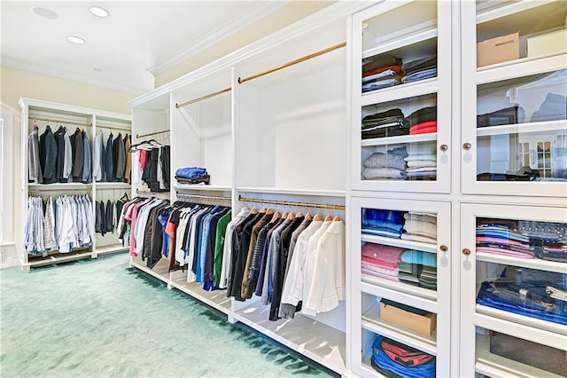 spacious closet with carpet floors