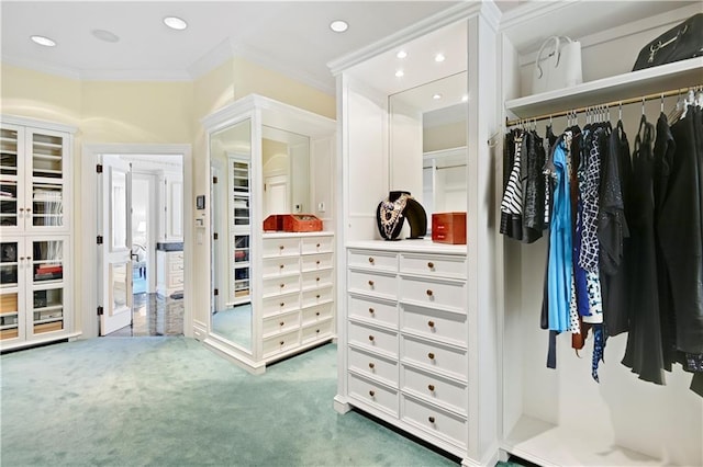 walk in closet featuring carpet flooring