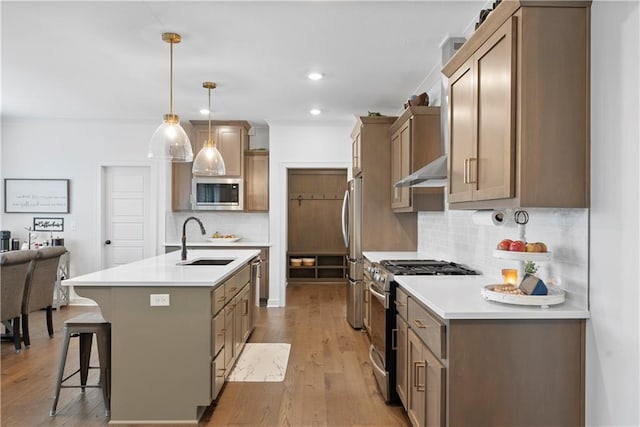 kitchen with an island with sink, a sink, under cabinet range hood, stainless steel appliances, and light wood finished floors