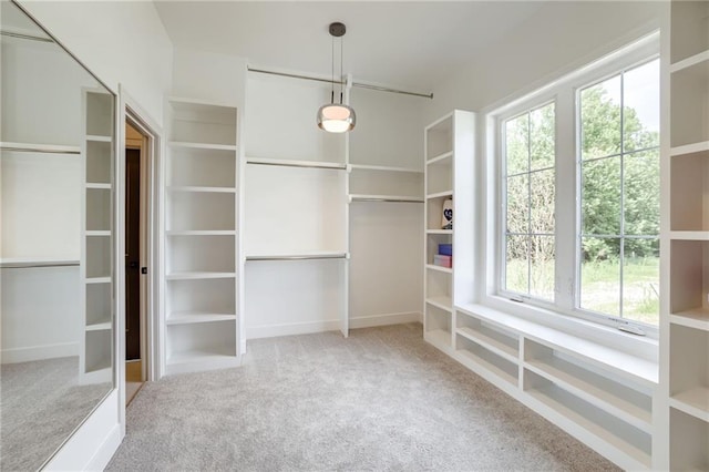 12435 NW Arbor Way, Platte City, MO 64079 - walk in closet with carpet flooring