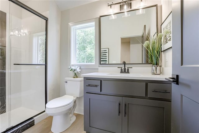 12435 NW Arbor Way, Platte City, MO 64079 - bathroom featuring vanity, a stall shower, and wood finished floors